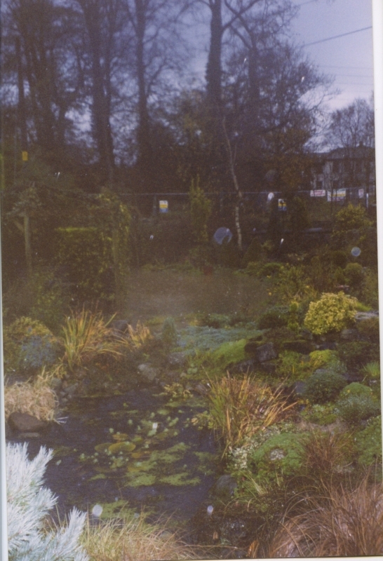 1999 Nov Dovenby A Garden Flooded Old Hospital Entrance In Distance