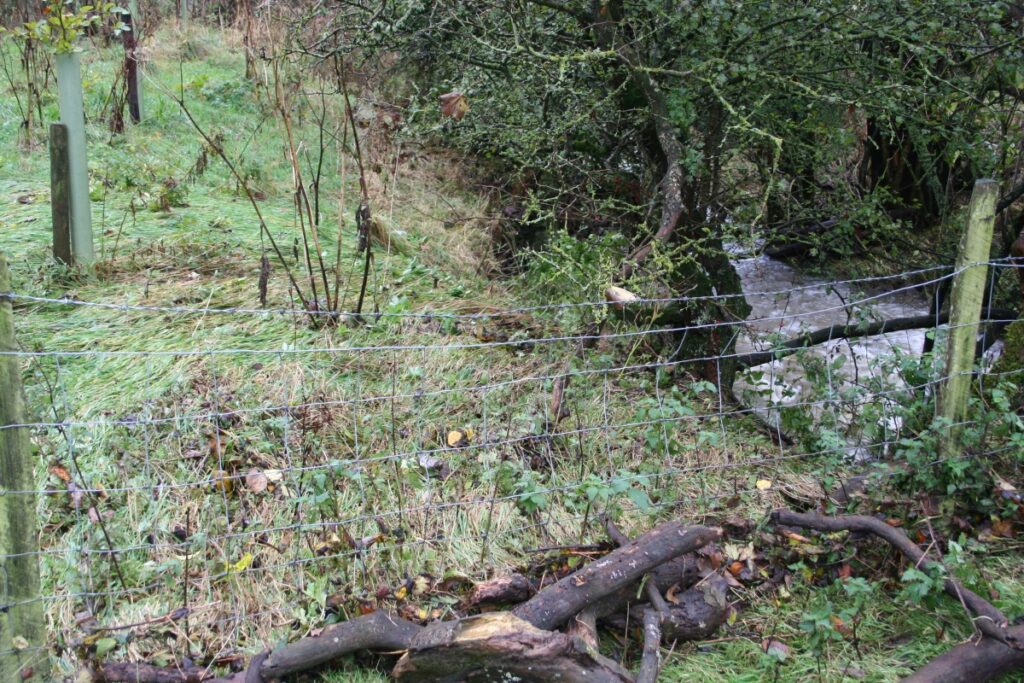 2005 10 12 Dovenby Beck Flood Dead Tree On Drystone Packhorse Bridge Swept Downstream